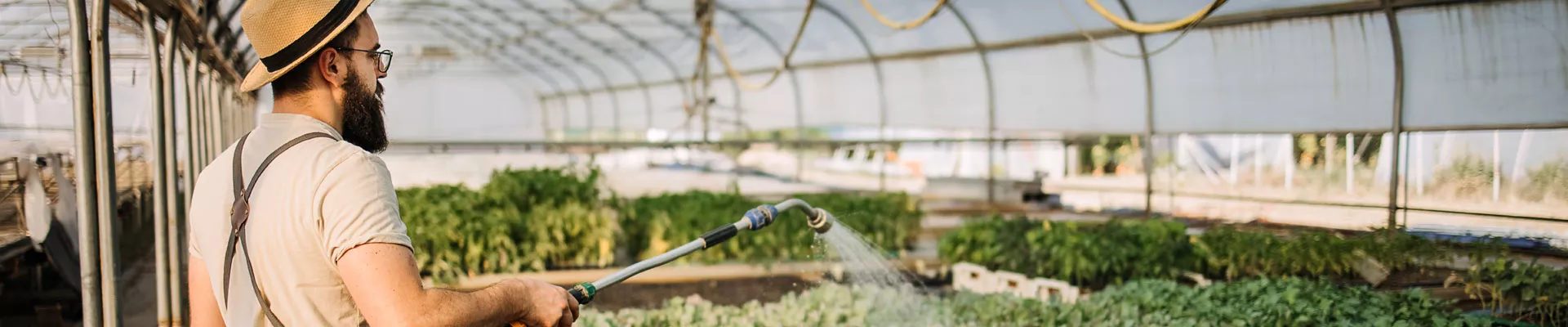 The principles of ideal watering and irrigation