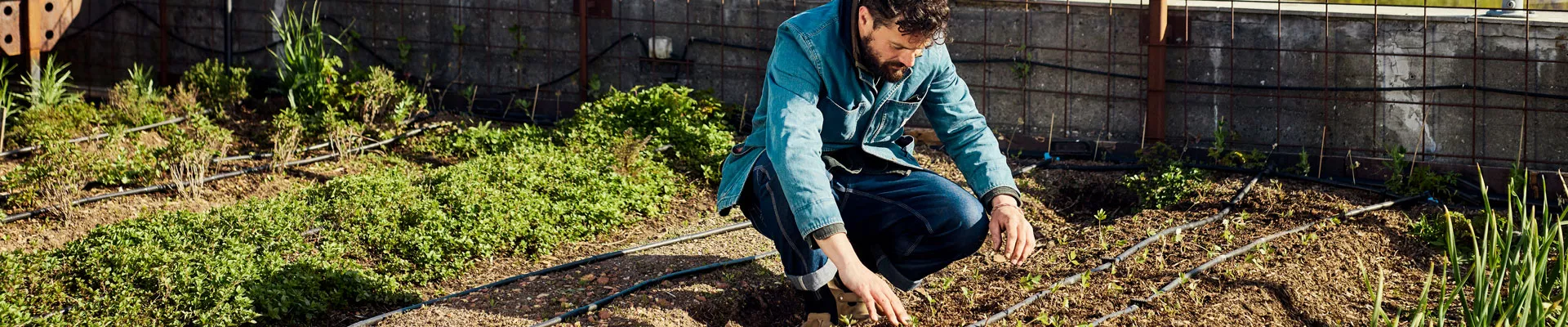 Getting the Garden Up and Growing