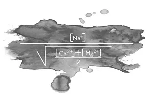 Interactions between nutrients