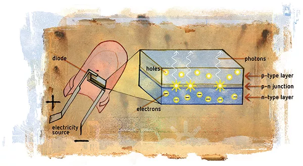 LEDs for plant production