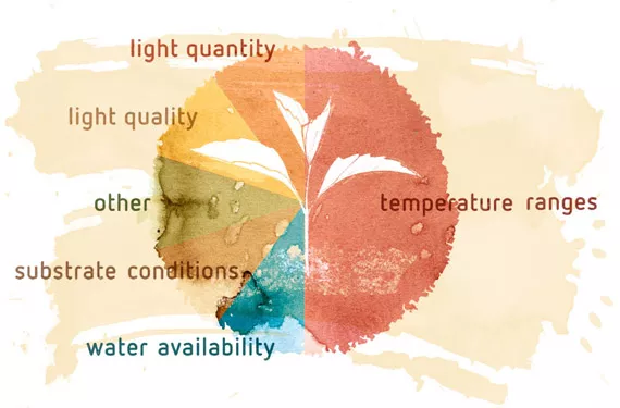 Making temperature work for success