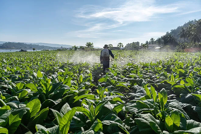 Preventing Contaminants for Bountiful Harvests 