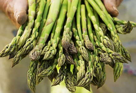 Grow it yourself: Asparagus