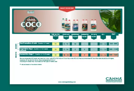 Basil on CANNA COCO Grow Schedule