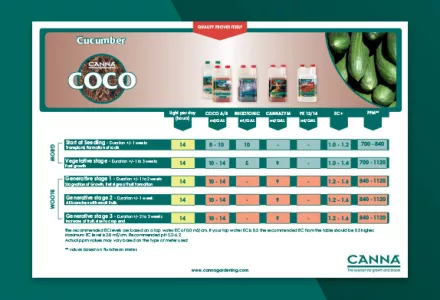 Cucumber on CANNA COCO Grow Schedule