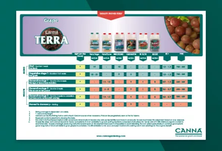 Grape on CANNA TERRA Grow Schedule