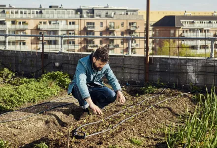 Getting the Garden Up and Growing